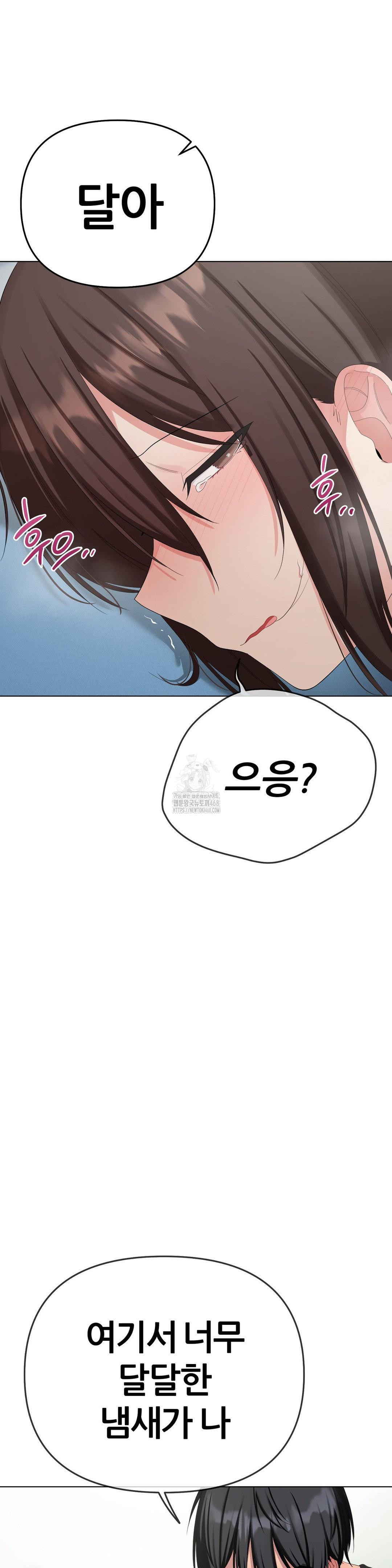 Beast Cub Raw - Chapter 16 Page 41