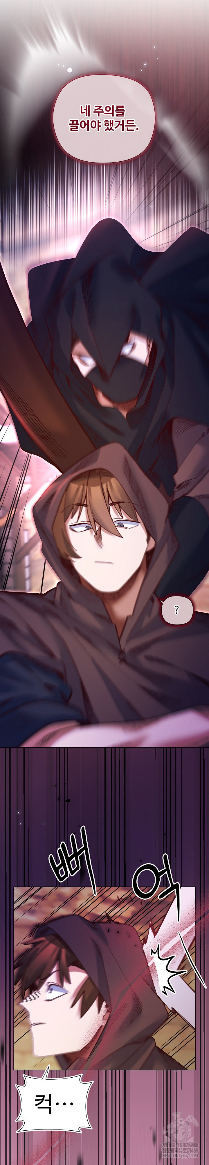 I Will Protect the Lady Raw - Chapter 36 Page 27