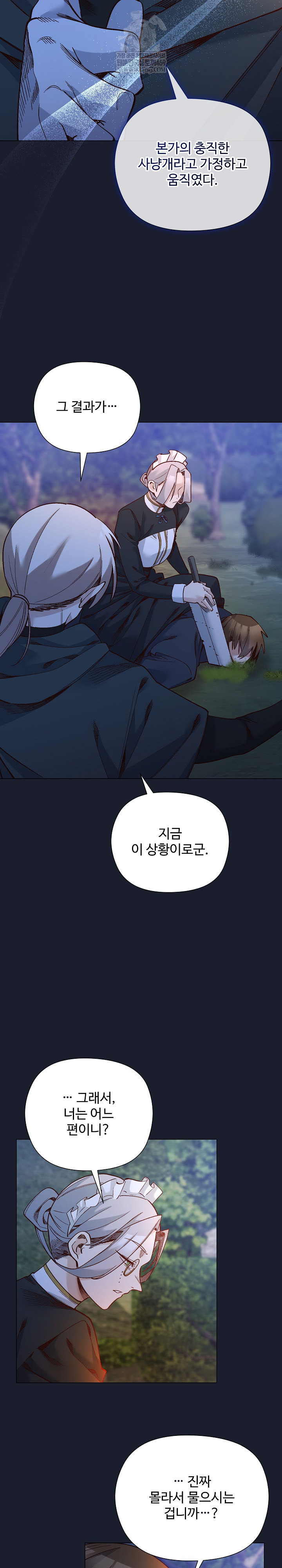 I Will Protect the Lady Raw - Chapter 53 Page 17