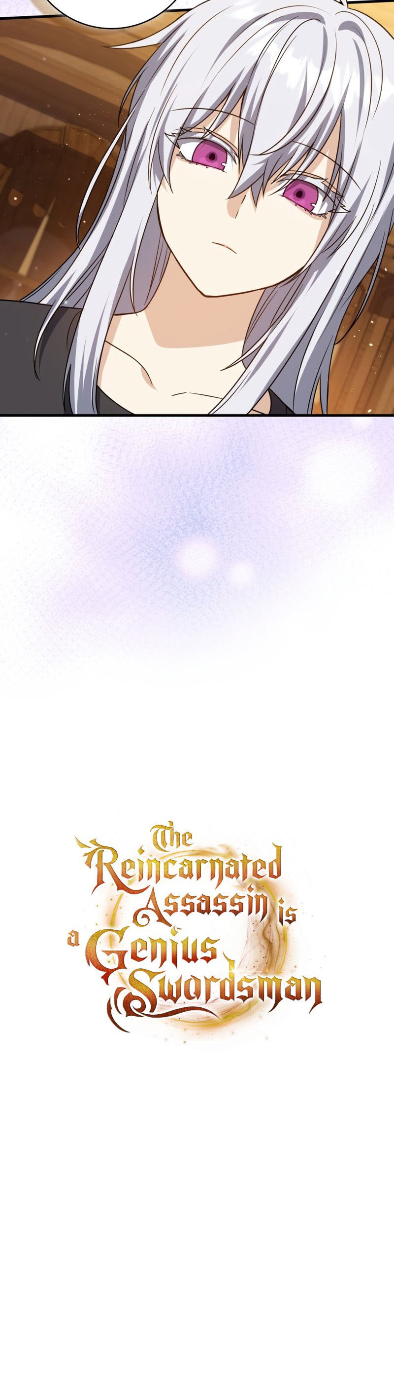 The Reincarnated Assassin is a Genius Swordsman - Chapter 10 Page 28