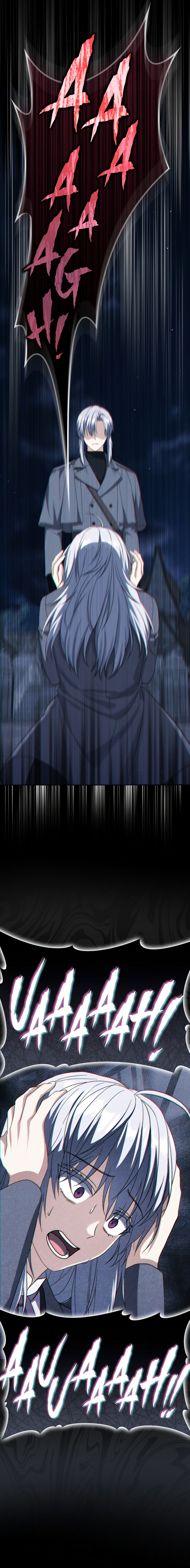The Reincarnated Assassin is a Genius Swordsman - Chapter 30 Page 17