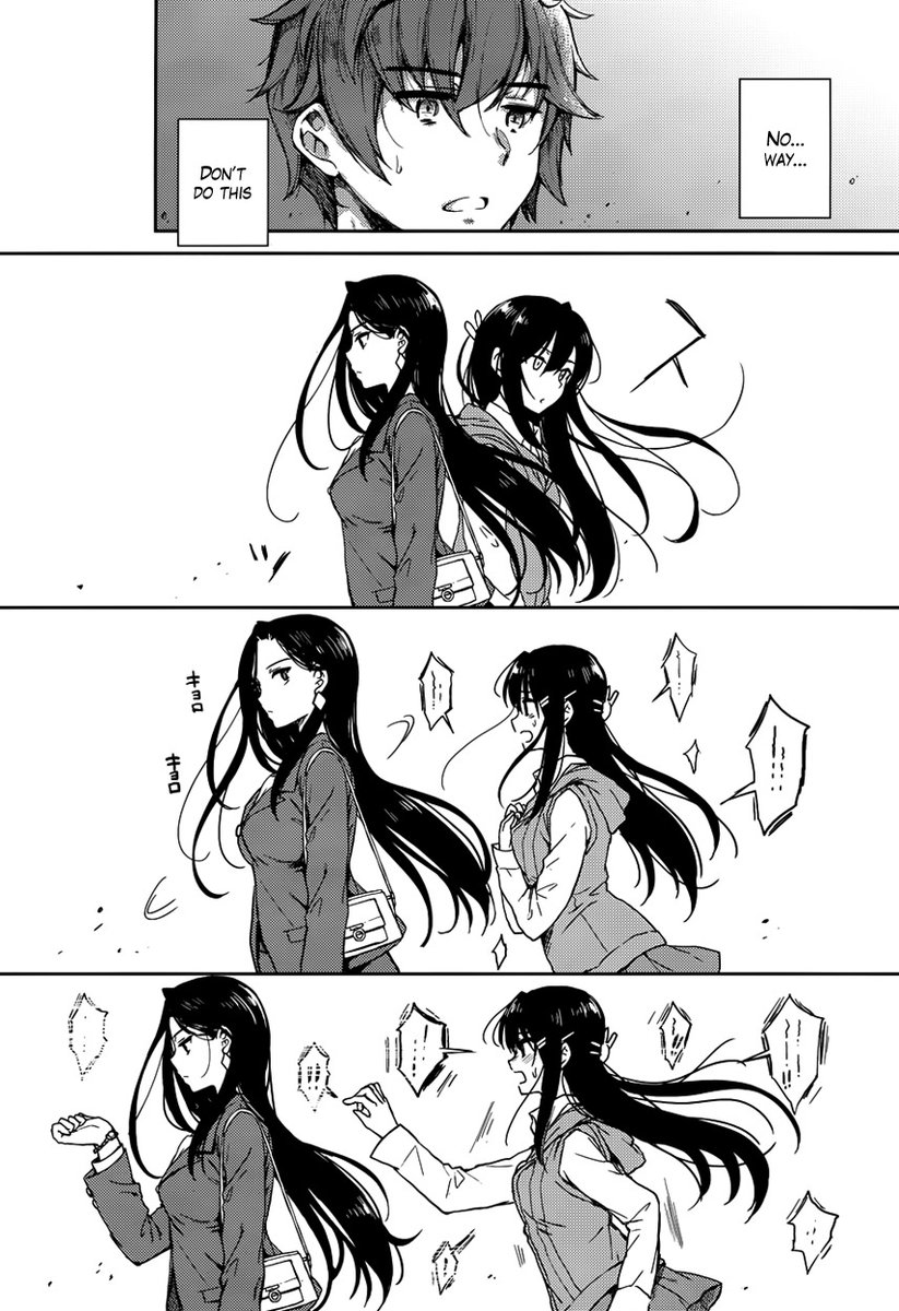 Seishun Buta Yarou wa Bunny Girl Senpai no Yume wo Minai - Chapter 13 Page 13