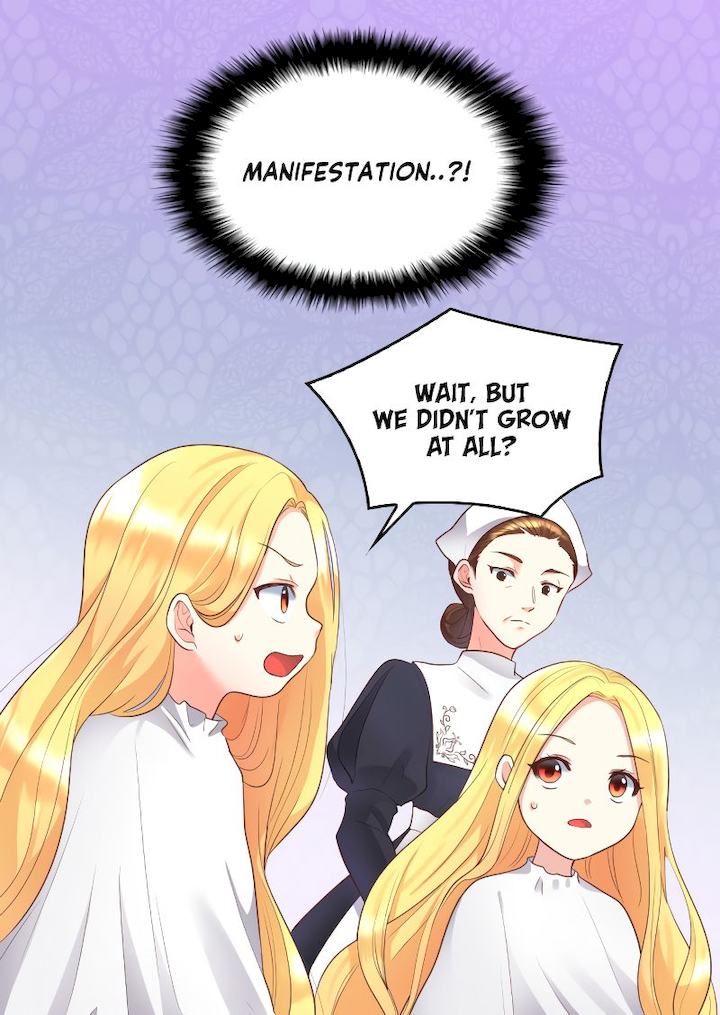 The Twin Siblings