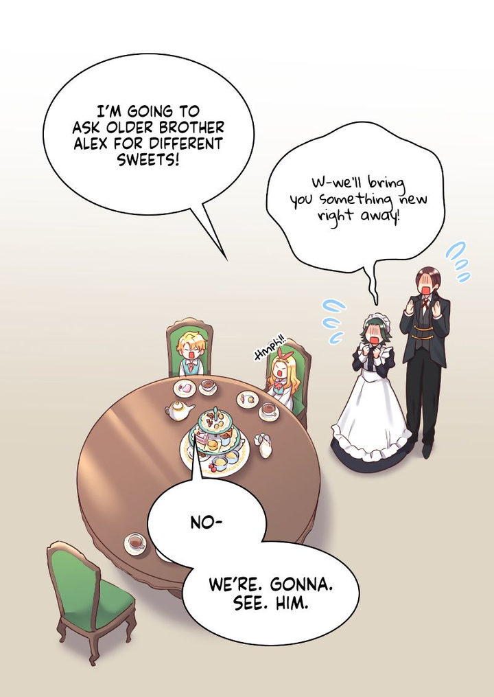 The Twin Siblings