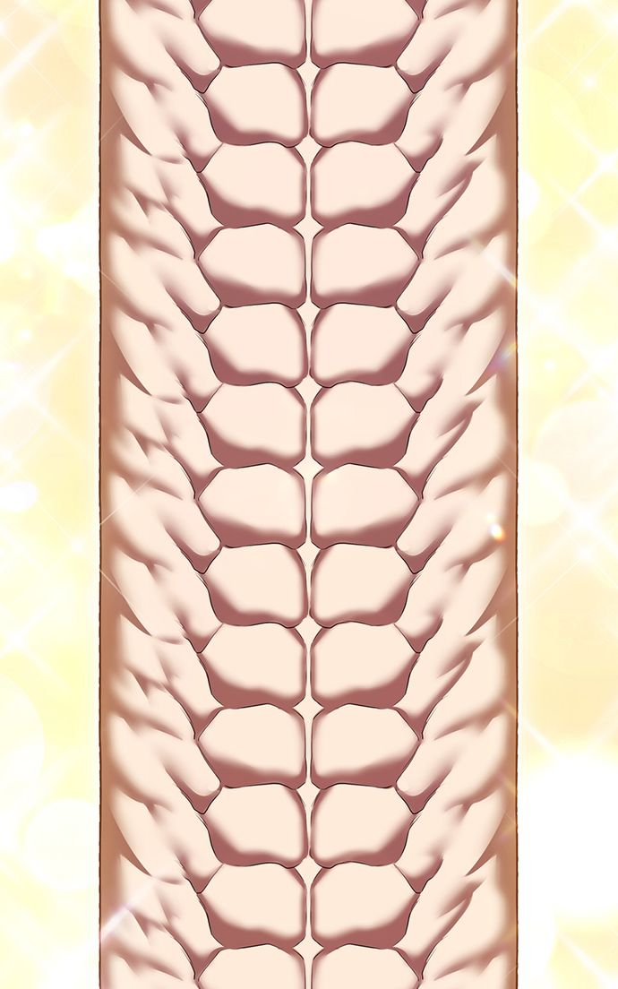 +99 Wooden stick - Chapter 131 Page 61