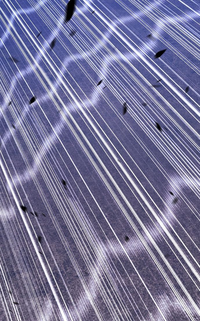 +99 Wooden stick - Chapter 138 Page 56