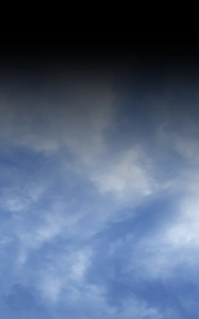 +99 Wooden stick - Chapter 152 Page 369