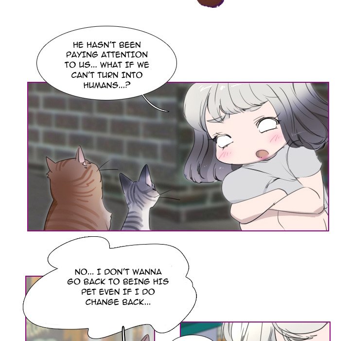 Sugar
