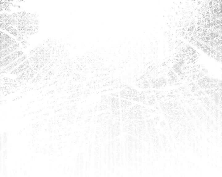 The General Is Here! - Chapter 39 Page 80