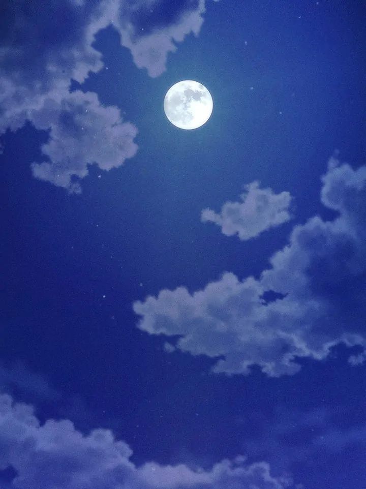 The Chairman’s Secret Son - Chapter 10 Page 44