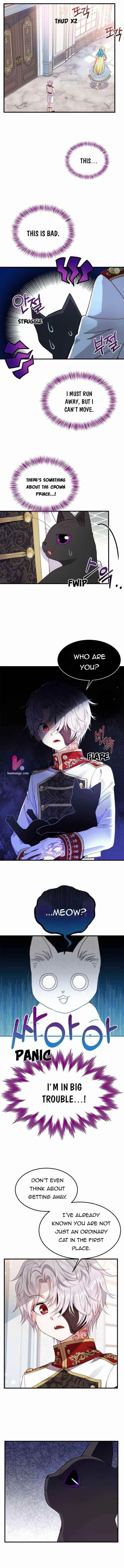 The Little Princess and Her Monster Prince - Chapter 40 Page 1